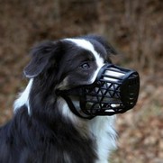 Фото Trixie Трикси Намордник пластиковый для собак, бежевый 