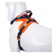 Фото Joyser Walk Soft Harness шлейка для собак M