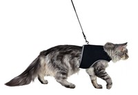 Фото Trixie Шлейка для кошек мягкая с поводком XL, 36-54 см, 1,20м, чёрный