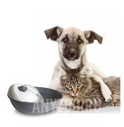 Фото Feed-ex Автоматическая поилка для кошек и мелких пород собак Spring с двумя насадками Родник и Ручей