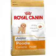 Фото Royal Canin Poodle Junior - Роял Канин сухой корм для щенков породы Пудель до 10 месяцев
